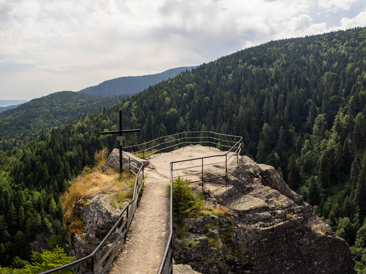 Slavkovský les